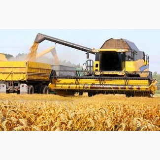 Перевезення зерна по Україні. Послуги зерновозів