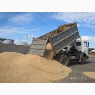 Зерновозы для перевозки зерна Украина