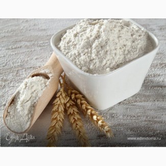 Wheat flour premium grade export