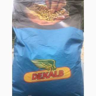 Семена кукурузы Monsanto ДКС 2960 ФАО 250