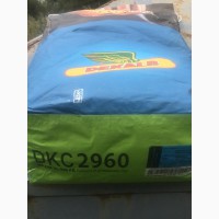 Семена кукурузы Monsanto ДКС 2960 ФАО 250