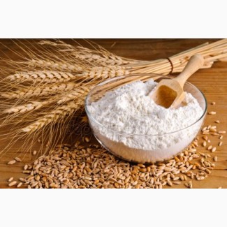 Wheat flour first grade export