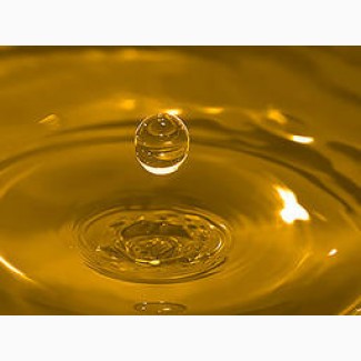 Продам масло подсолнечное ( Олію соняшника) рафинированное дезодорированное марка П