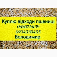 Закуповуємо відходи пшениці по всій Україні