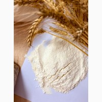 Борошно пшеничне продам