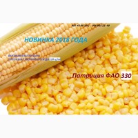 Семена кукурузы Патриция - ФАО 300, гибрид F1, (Семанс Франция)