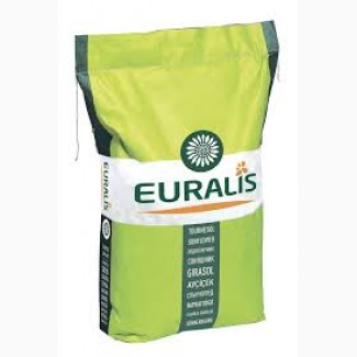 Семена подсолнечника ЕС Розалия от Евралис (Euralis) цена за мешок