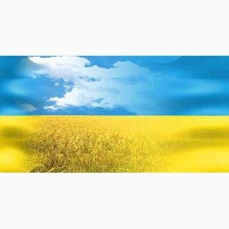 Туры на День независимости Украины, тур Карпаты, туры Закарпатье