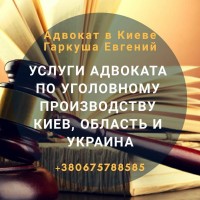 Услуги опытного адвоката, Киев и область