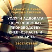 Услуги адвоката в Киеве по уголовным делам