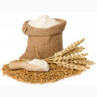 Продаємо пшеничне борошно першого ґатунку
