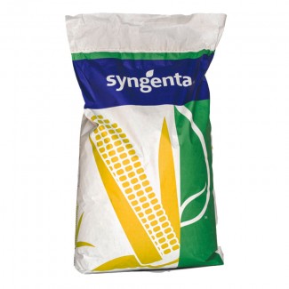 Семена кукурузы НК Люциус ФАО 340 цена за мешок