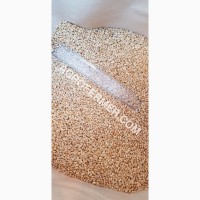 MASON - Мягкий канадский трансгенный озимый сорт (элита) пшеницы